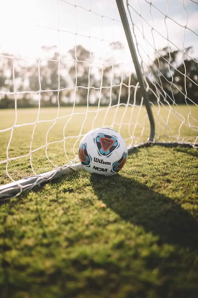 white Wilson soccer ball beside net goal